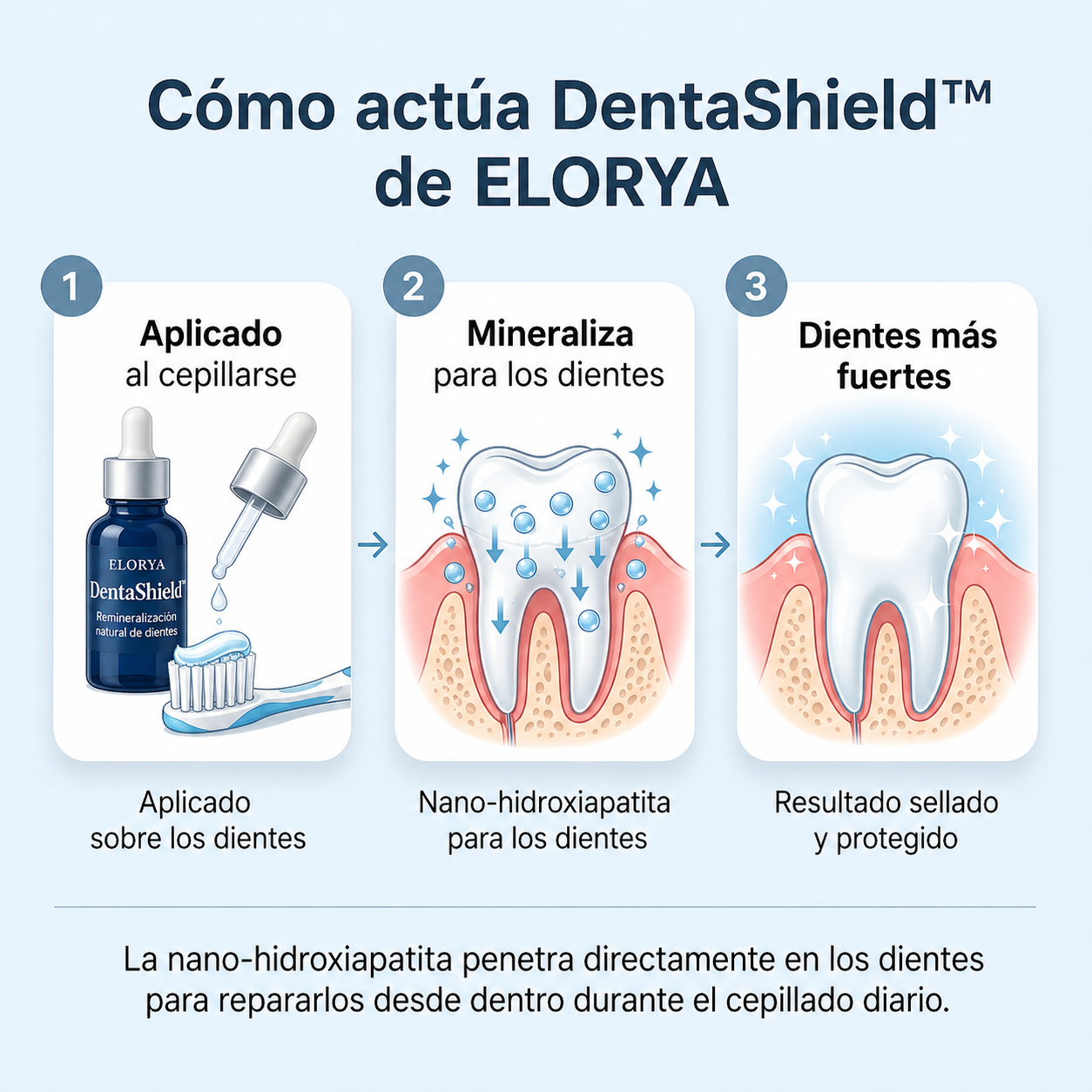 ELORYA DentaShield