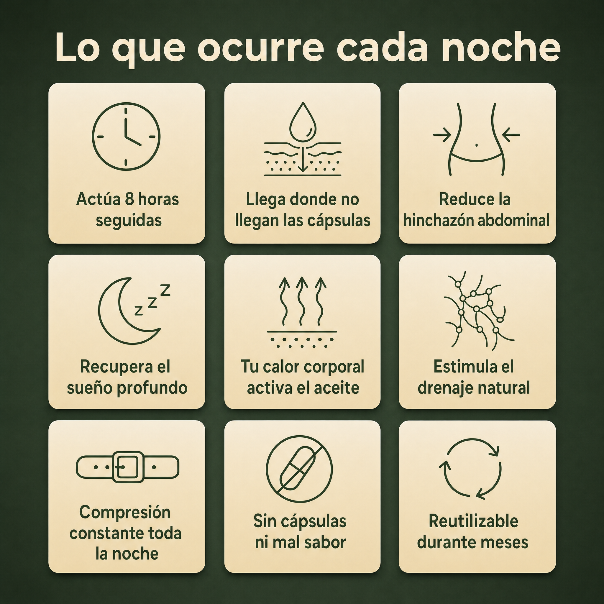 ELORYA™ Faja Detox de Ricino